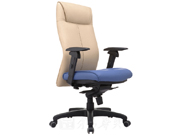 Leather Executive Chair CG-P039